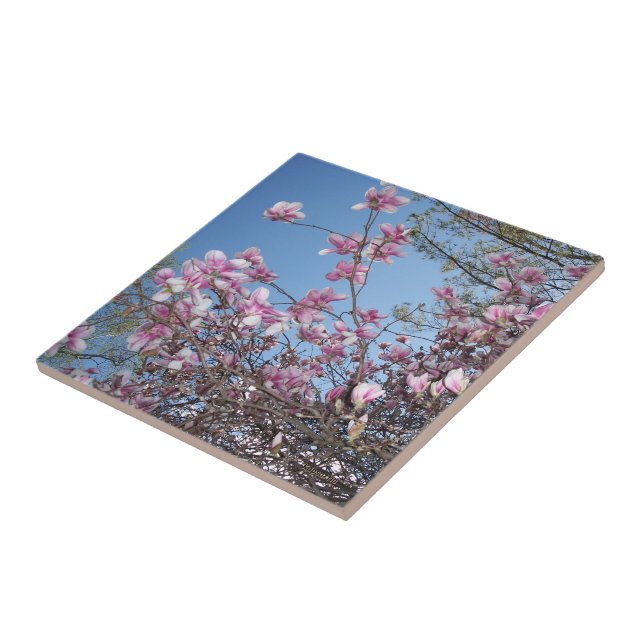 Carreau Fleurs de cerisiers (Côté)