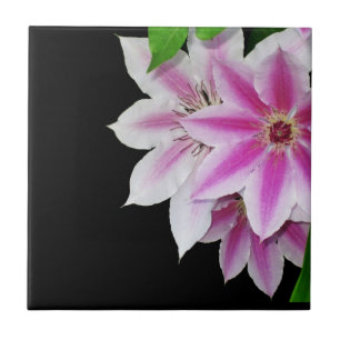 Carreau Fleurs de clématite roses et blanches