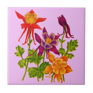 Carreau fleurs de columbine