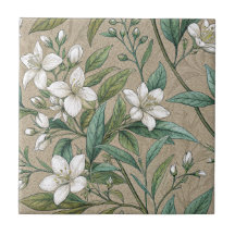 Fleurs de Jasmin vintage botaniques sans soudure