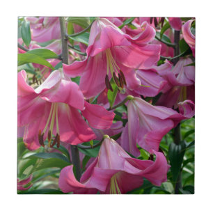 Carreau Fleurs de lys stargazers roses