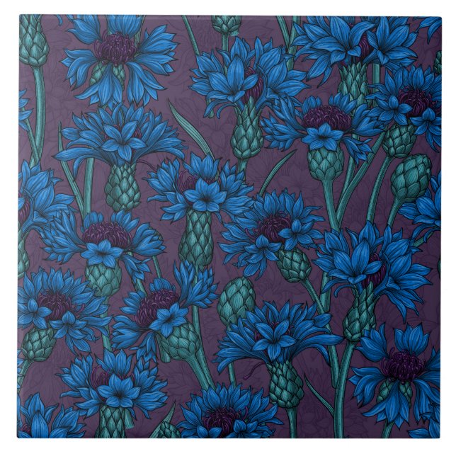 Carreau Fleurs de maïs bleues, fleurs sauvages (Devant)