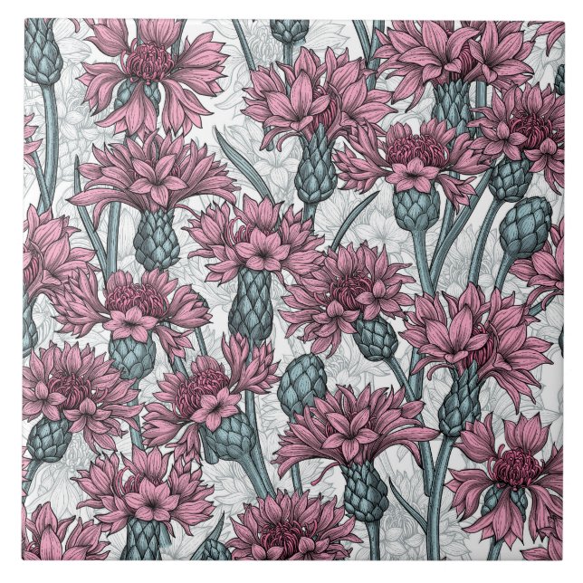 Carreau Fleurs de maïs roses, fleurs sauvages sur blanc (Devant)