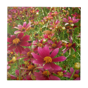 Carreau Fleurs de marguerite rose et jaune brillantes