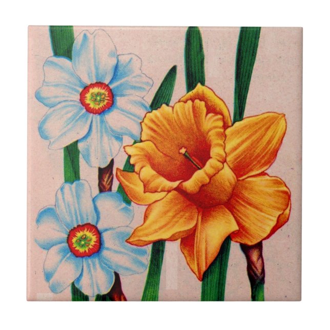 Carreau fleurs de narcisse (Devant)