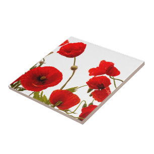 Carreau Fleurs de pavot rouge floral Arrière - plan blanc 