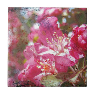 Carreau Fleurs de pommes de terre
