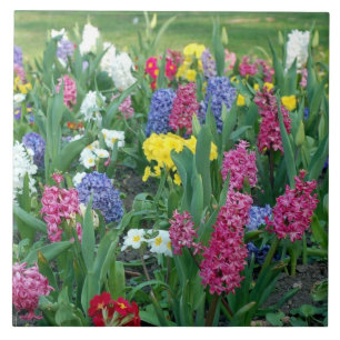 Carreau Fleurs de printemps, prairie