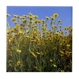 Carreau Fleurs de soleil fleurs sauvages
