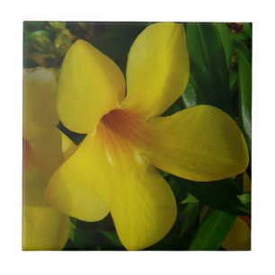 Carreau Fleurs de trompette d'or II Tropical