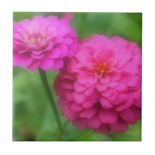 Carreau Fleurs de Zinnia rose vif