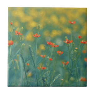 Carreau Fleurs d'été (champ floral) (Fleurs rouges)