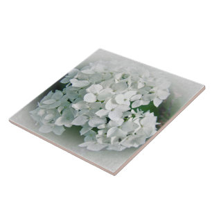 Carreau Fleurs d'Hydrangée Blanche