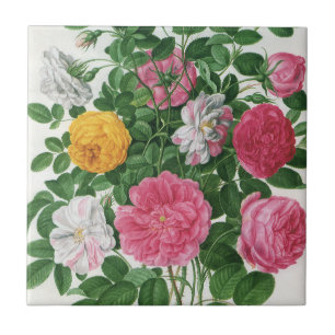 Carreau Fleurs fleuries vintage, roses de jardin de printe
