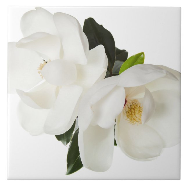 Carreau Fleurs florales des Magnolias blancs (Devant)