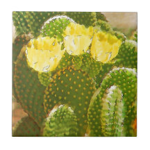 FLEURS JAUNES DE CACTUS