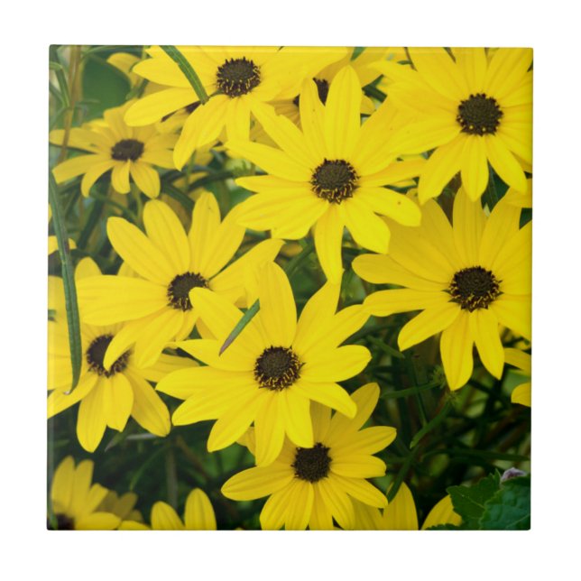 Carreau Fleurs Jaunes Lumineuses (Devant)