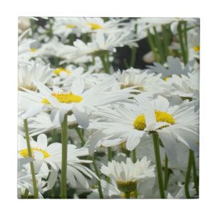 Carreau Fleurs marguerites blanches Carrelage art Accueil 