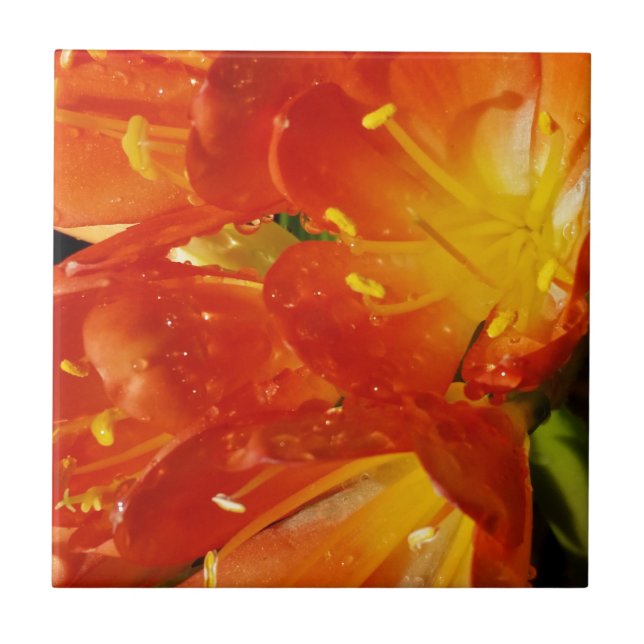 Carreau Fleurs orange (Devant)
