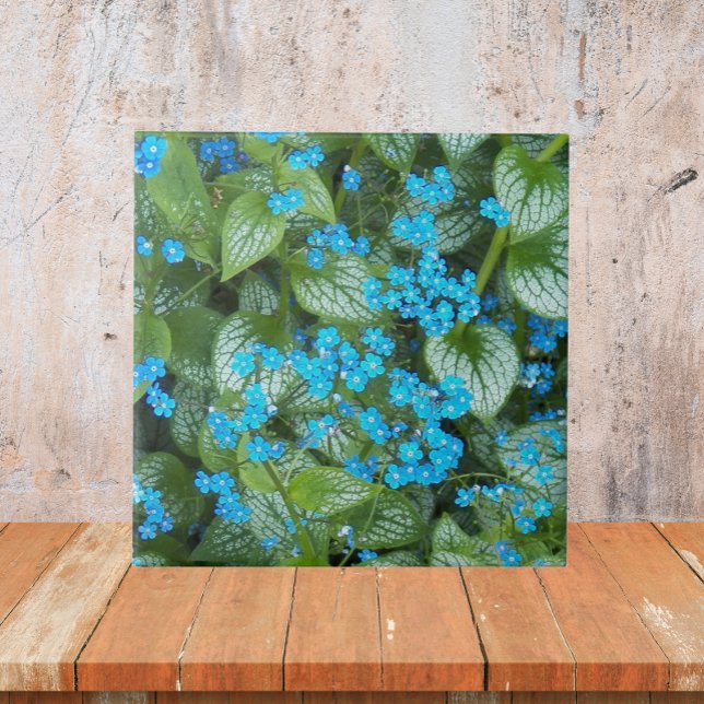Carreau Fleurs Petit Bleu Brunnera Floral (In Situ)