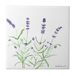 Carreau Fleurs plantes de lavande herbe botanique violet c