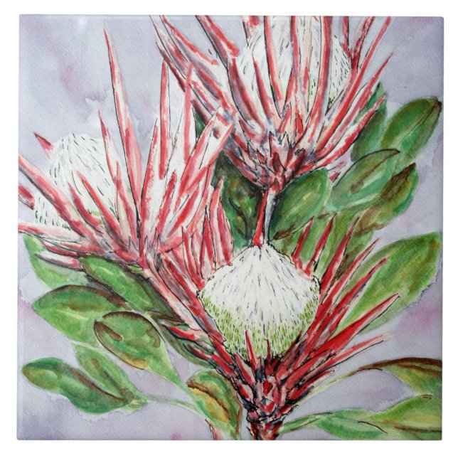 Carreau Fleurs Protea (Devant)