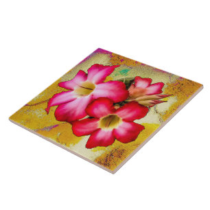 Carreau Fleurs Roses du désert sur carrelage en céramique