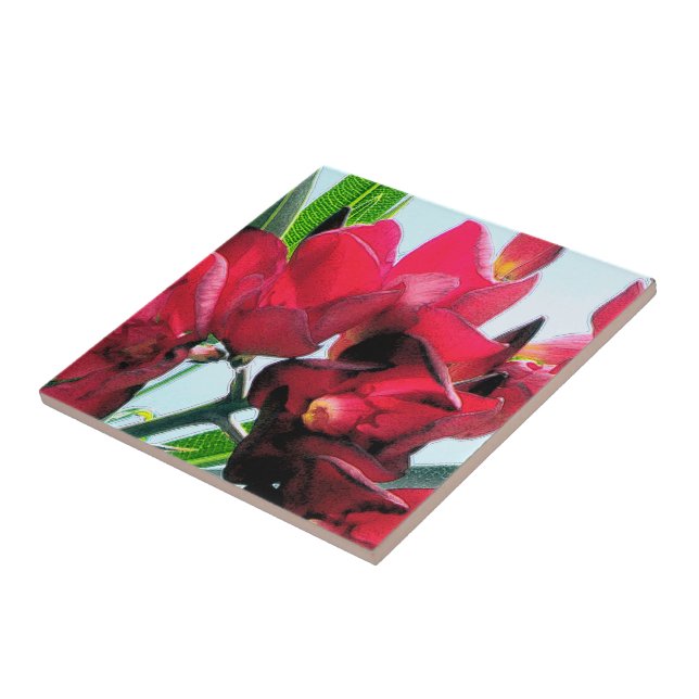 Carreau Fleurs rouges (Côté)