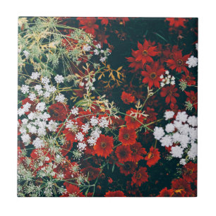 Carreau Fleurs rouges et blanches