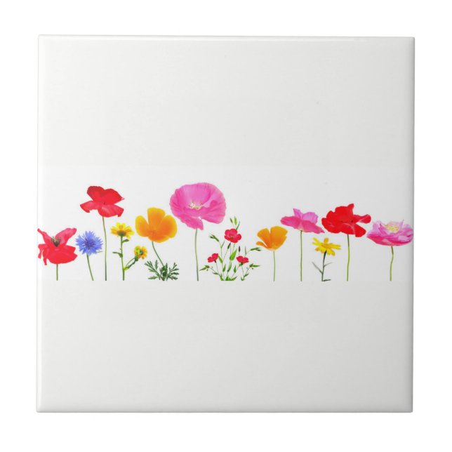 Carreau fleurs sauvages (Devant)