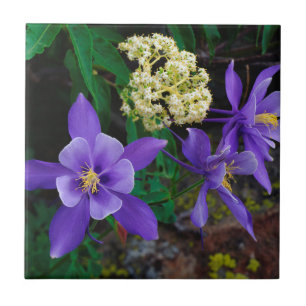 Carreau Fleurs sauvages de colombine mutante
