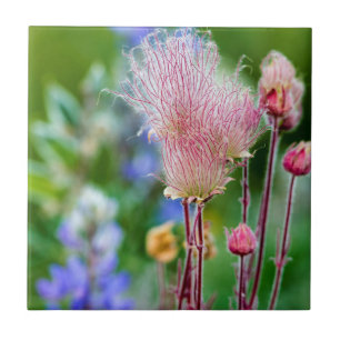 Carreau Fleurs sauvages de fumée des Prairies à Aspen Grov