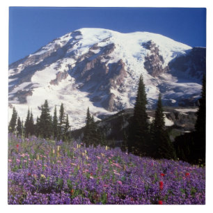 Carreau fleurs sauvages d'été à la base du Mont Rainier, 2