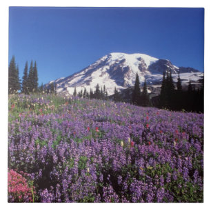 Carreau fleurs sauvages estivales au pied du mont Rainier,