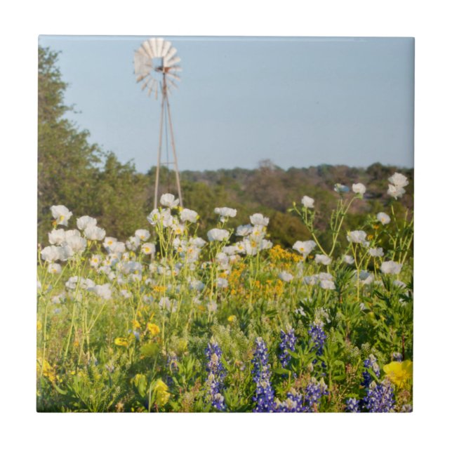 Carreau Fleurs sauvages Et Moulin À Vent Au Texas Hill Cou (Devant)