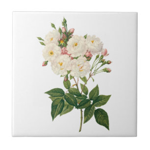 Carreau Fleurs vintages Flore Blush Noisette Rose Redoute