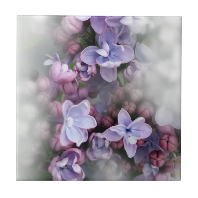 Carreau Floraison lilas (Devant)