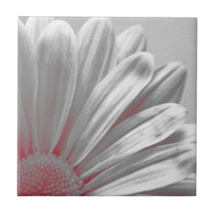 Carreau Floral Rouge