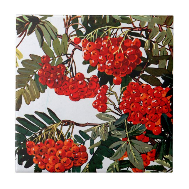 Carreau Flore exotique #5 à SunshineDazzle (Devant)