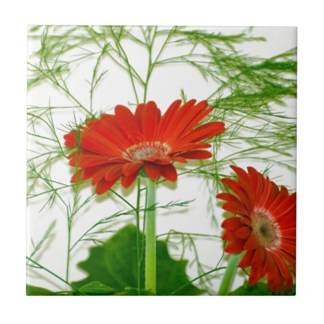 Carreau Flore rouge (Devant)