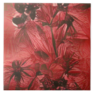Carreau Flore rouge
