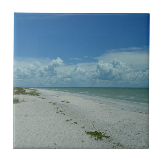 Carreau Floride Beach Paradise Photo (Devant)