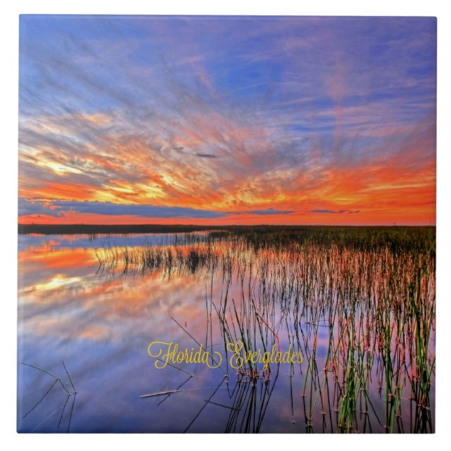 Carreau Floride Everglades, panorama pittoresque, (Devant)