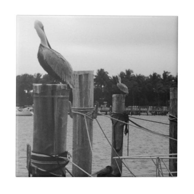 Carreau Floride, Pélican sur la tuile de Boatdock (Devant)