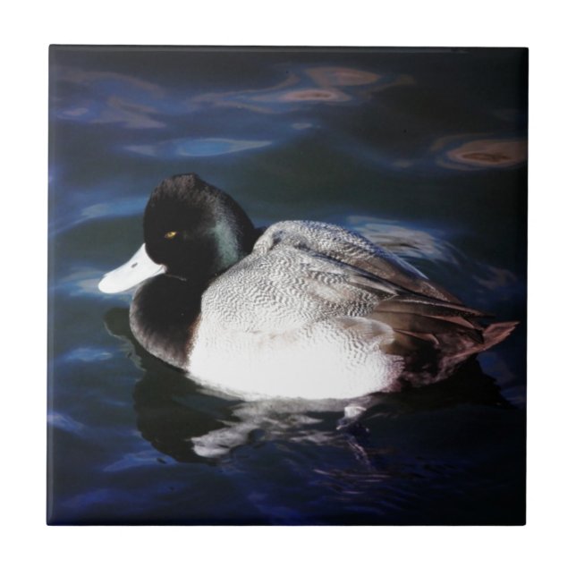 Carreau Flottement avec le soleil (Devant)