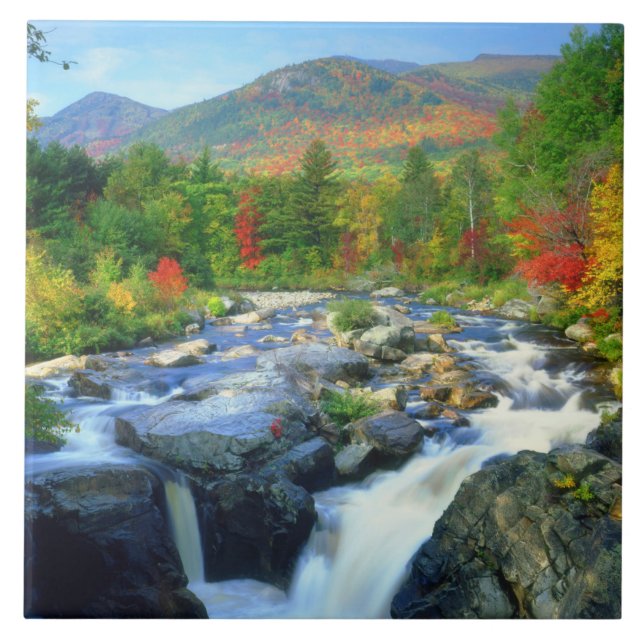 Carreau Flume Falls | Monts Adirondack (Devant)