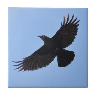Carreau Flying Black Raven Corvid Crow-lover Photo Design
