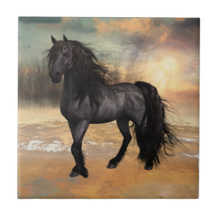 Carreau Foggy Friesian Matin