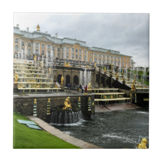 Carreau Fondations du Palais Peterhof St Pétersbourg Russi