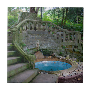 Carreau Fontaine du Jardin Bleu